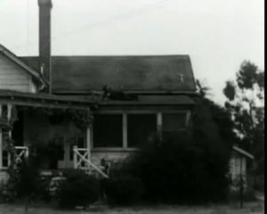 bas jan ader