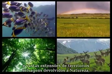 Uma Vida Interligada (A Life Connected)