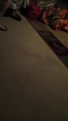 Como não reagir quando seu filho assume ser Gay