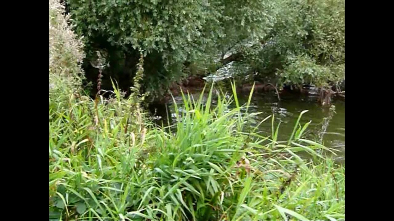 Iroise - découverte rapport a l'eau