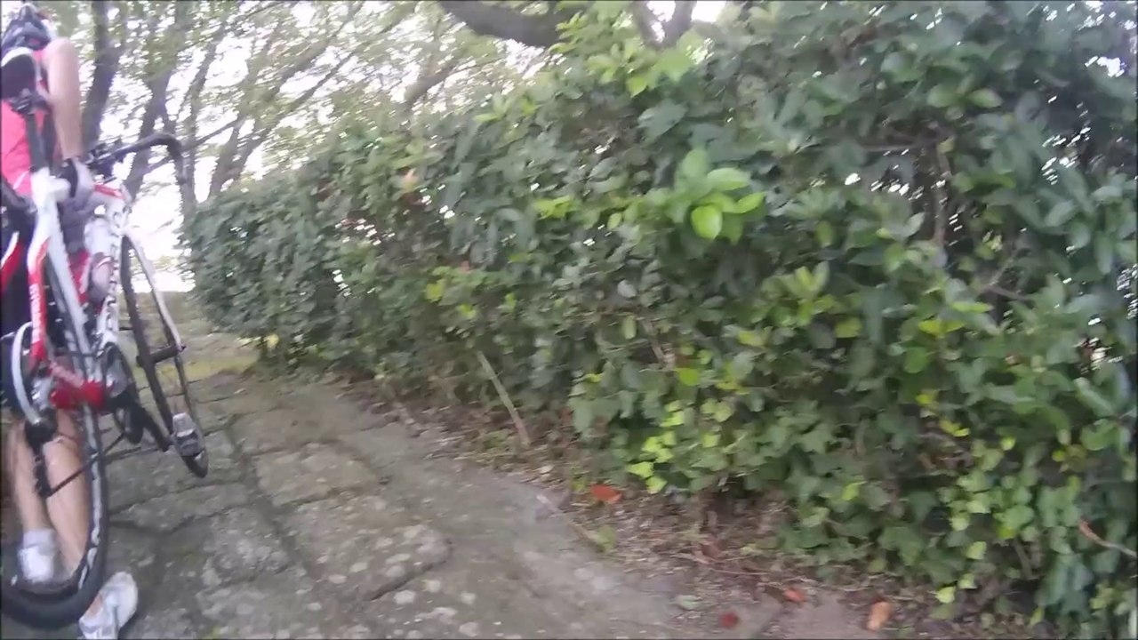 ひっそり...こっそり...サイクリング