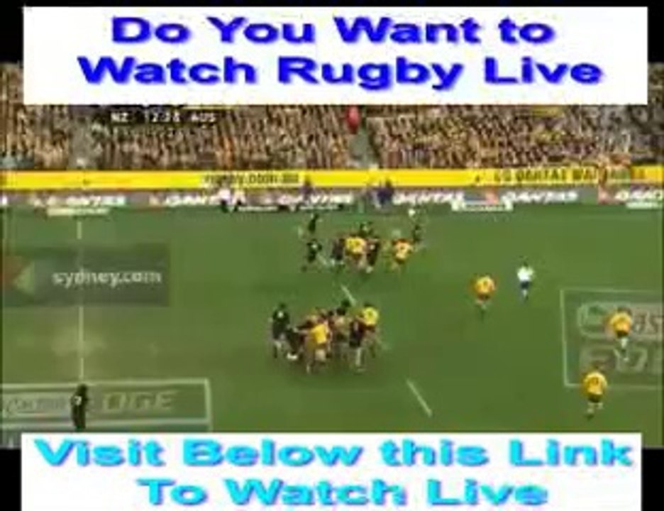 Rugby New Zealand vs Argentina Live Stream free Score, Replay Results