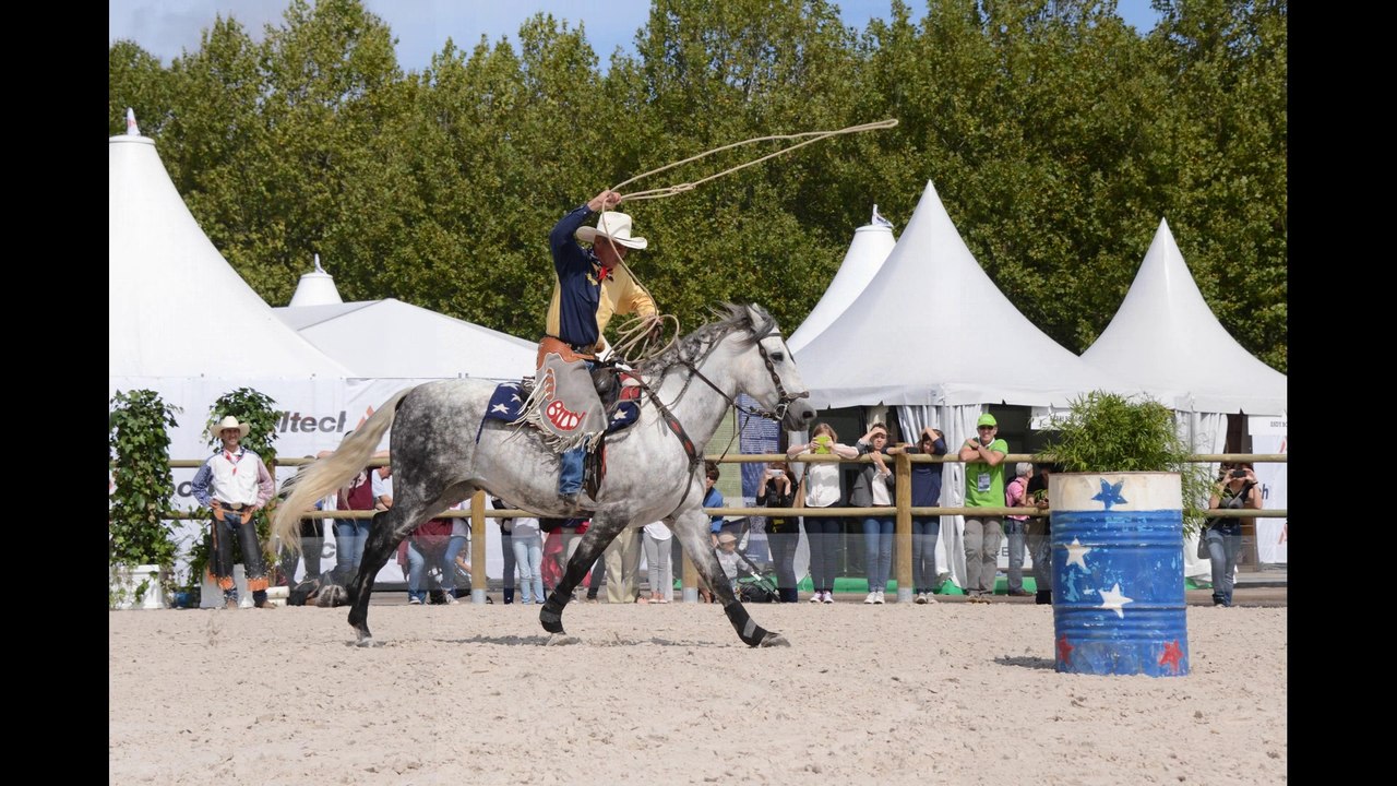 jeux equestres mondiaux 2014