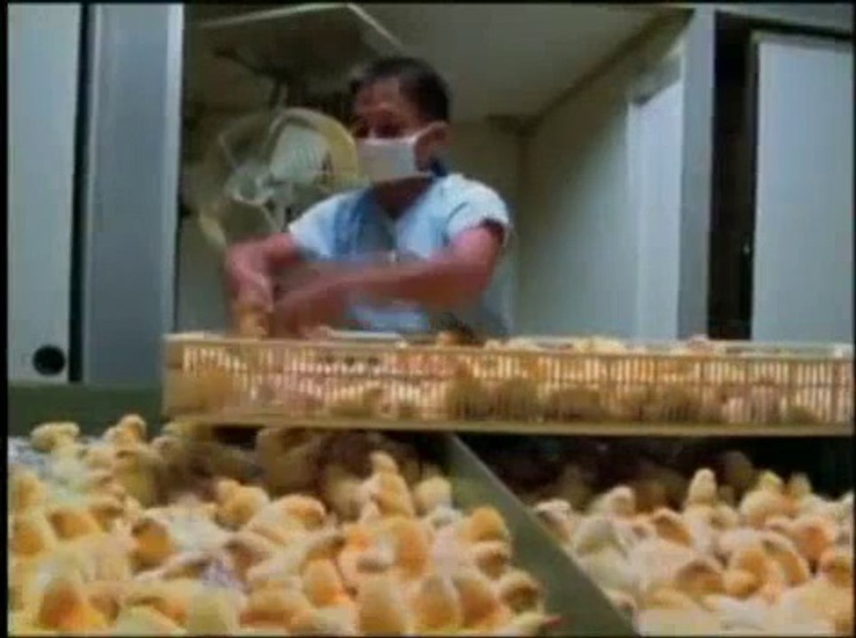 bienêtreaujus animaux TERRIENS 1_2 Earthlings