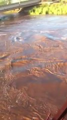 River Chenab At Flood Video By Fareed Abid