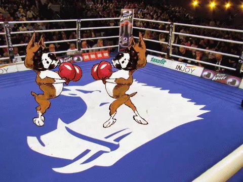 KLAUS & KLAUS ......... Der Boxer