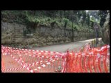 Napoli - Strada chiusa, 22 pini sono a rischio crollo (05.09.14)