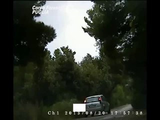 Puglia - Forestale preso l'incendiario del Gargano (05.09.14)