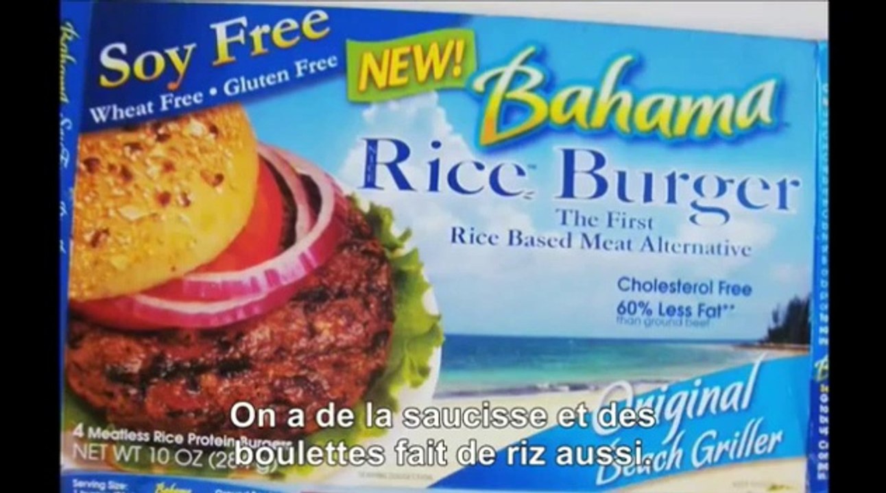 bienêtreaujus animaux Le discours 2_2 le plus important de votre vie Gary Yourofsky