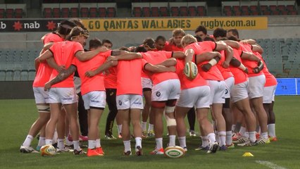 Quattro Nazioni - L'Australia cerca la rivincita con il Sudafrica