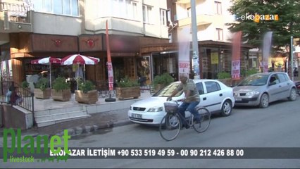 Planet Livestock Ekopazar Atv Avrupa Programı