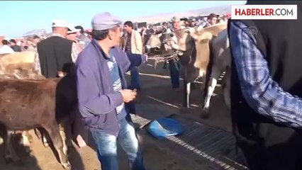 Kurban Bayramına doğru