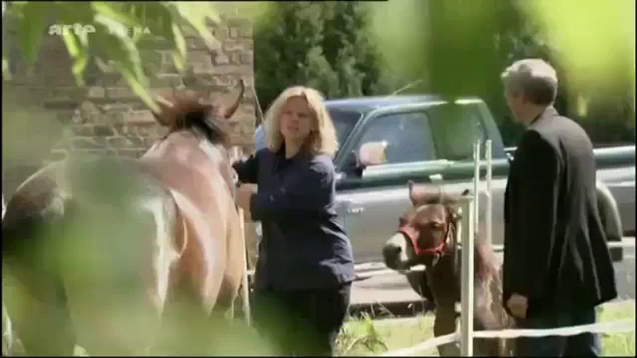 bienêtreaujus animaux Doit on encore 2_3 manger de la viande