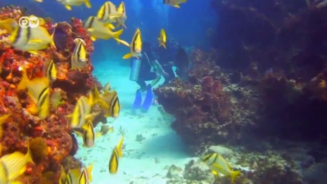 World Stories: International Reporters | World Stories