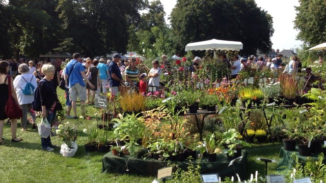 La Folie des plantes
