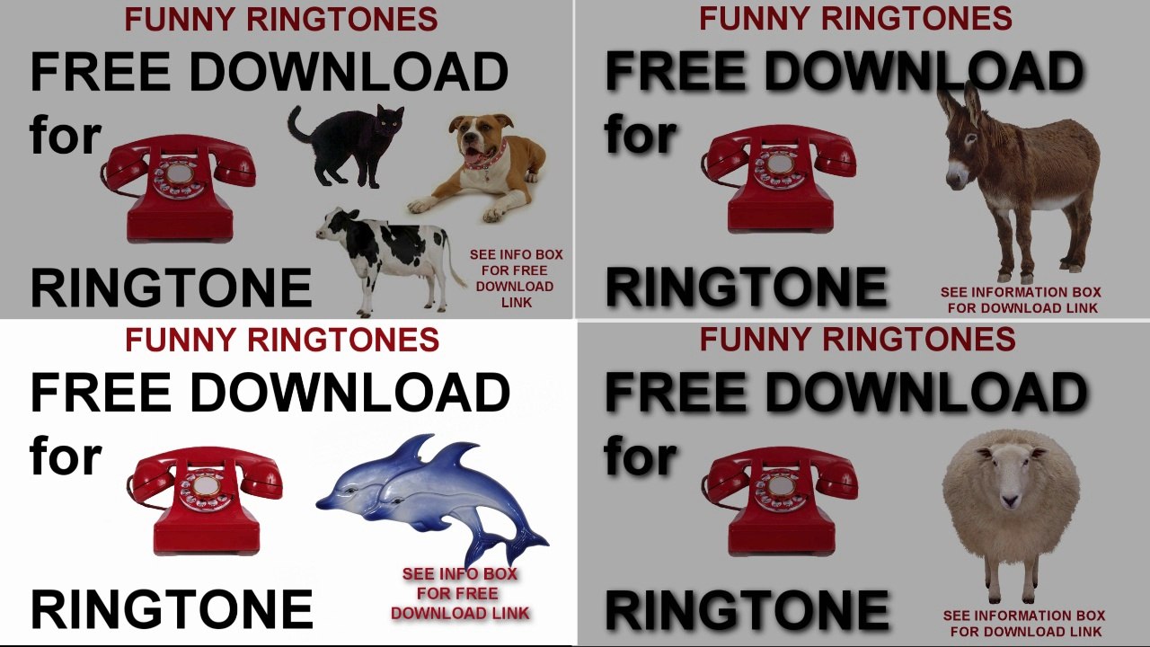 Funny Ringtone Compilation No1