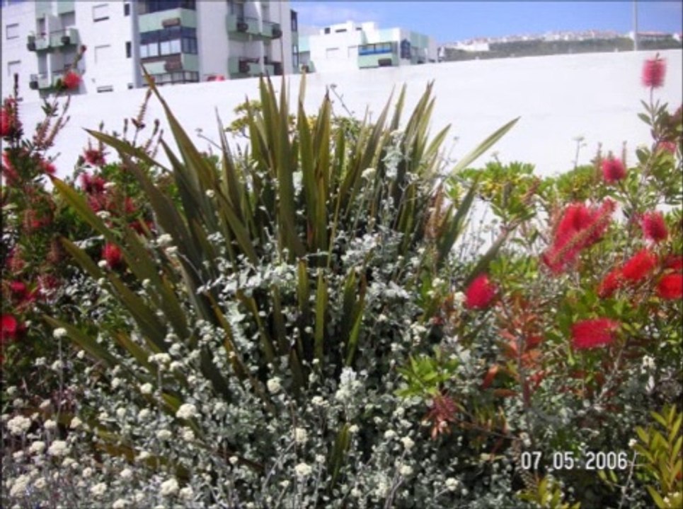 Portugal_Der Westen der Iberischen Halbinsel