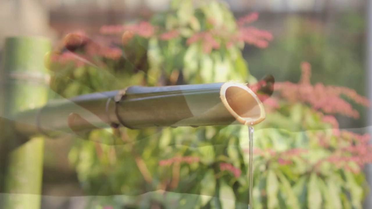 The Aikido Notebooks with Michel Erb Sensei Part 5 Omote-Ura