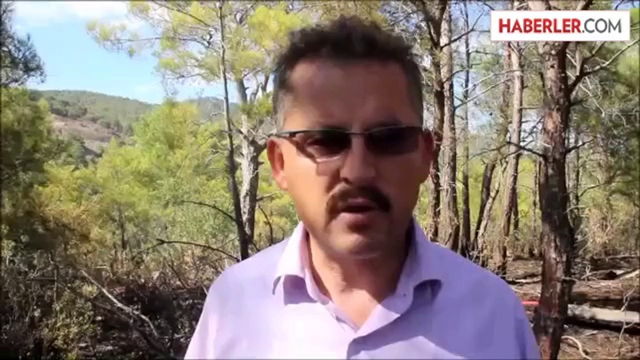 Orman yangını