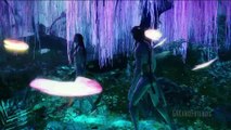 AVATAR ~ Pandora Tribute.. We Are Free  (HD)