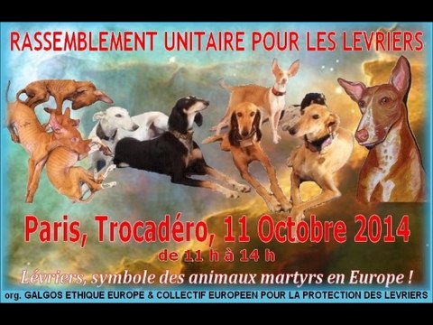 rassemblement-unitaire-pour-les-levriers-paris-2014-galgos-ethique-europe