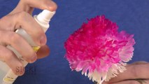 Magic Color Changing Flower - Sick Science! #177