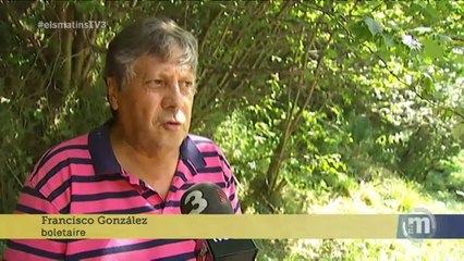 TV3 - Els Matins - Pagar o no pagar per buscar bolets?