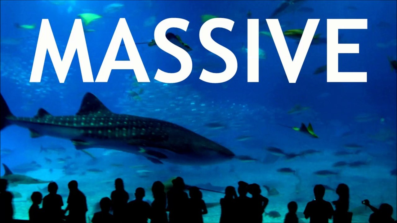 Thoughtful Quotes | @CorinaWisdom Quotes - Massive