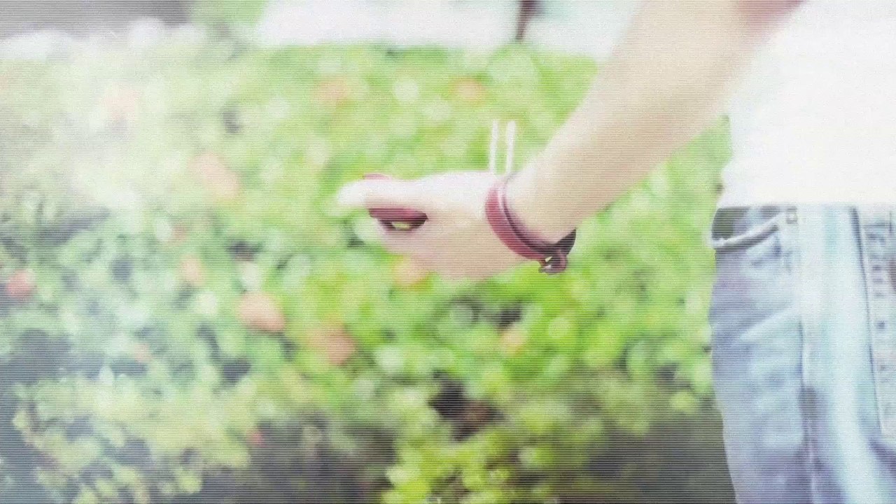 藍嘉穎《左撇子》The Left Hander - 2. A gift for Left-Right handers' lover.