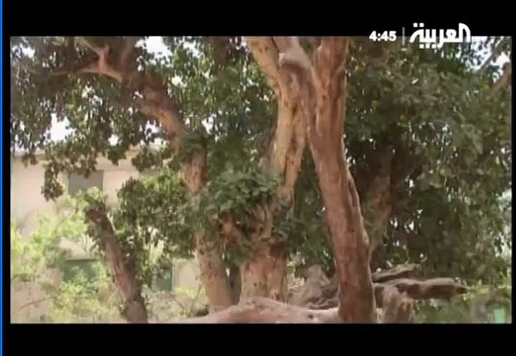 وثائقي ـ أرض الأنبياء (18) نبي الله عيسى عليه ا...