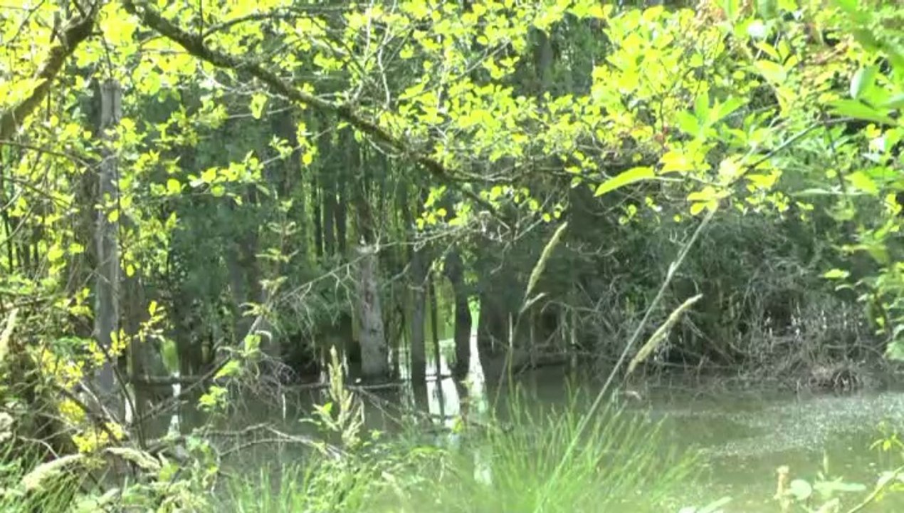 LES PROMENADES DE MICHOU W-D.D. - 13 JUILLET 2014 - LE LAC DE BASSILLON VAUZE.