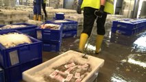 Scotland's fishermen face some choppy waters ahead