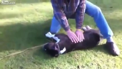 Kalp Masajı İle Köpeğin Hayatını Kurtaran Adam