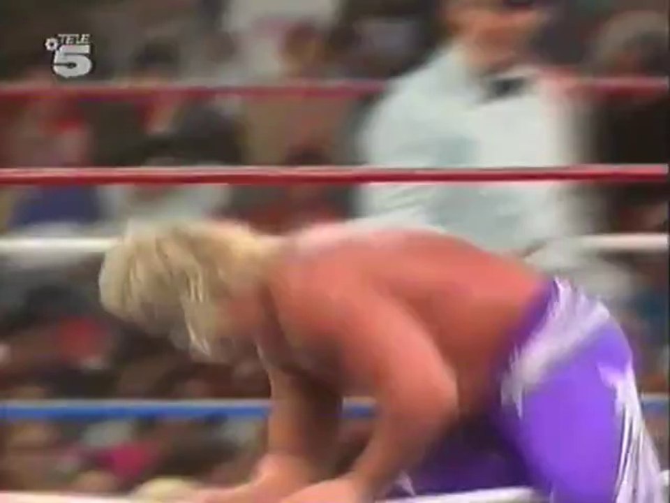 WWF Ring Frei 17/01/92