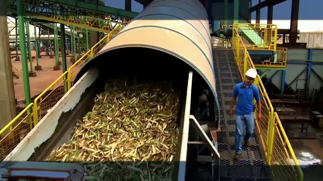 Leading Way Airbus And Sustainable Fuels