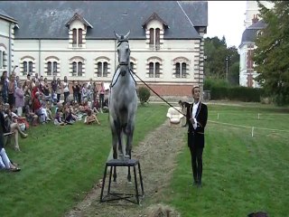 défilé de mode et spectacle équestre Blois 2014