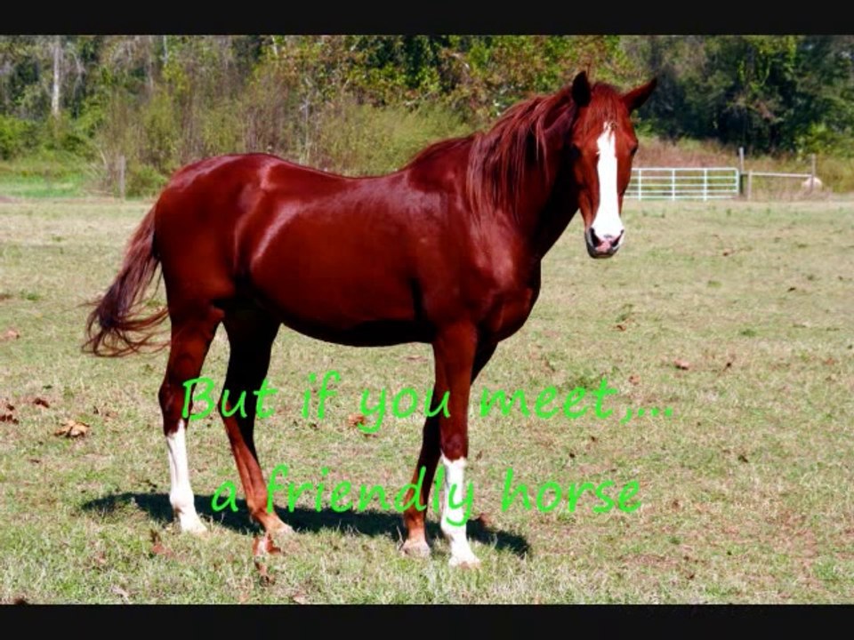 Ylvis - The Fox (what does the fox say_) Lyrics