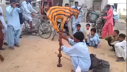 VID-20140621-WA0012.mp4