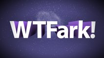 What The Fark Is WTFark!?