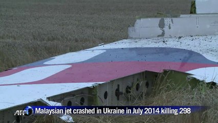 Flight MH17 hit by numerous 'high energy objects': probe