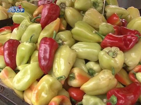 Vesti na rumunskom jeziku, 09. septembar 2014. (RTV Bor)