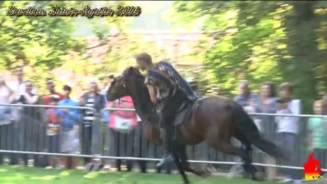 Lespes TV: Berchem ST Agathe 2014