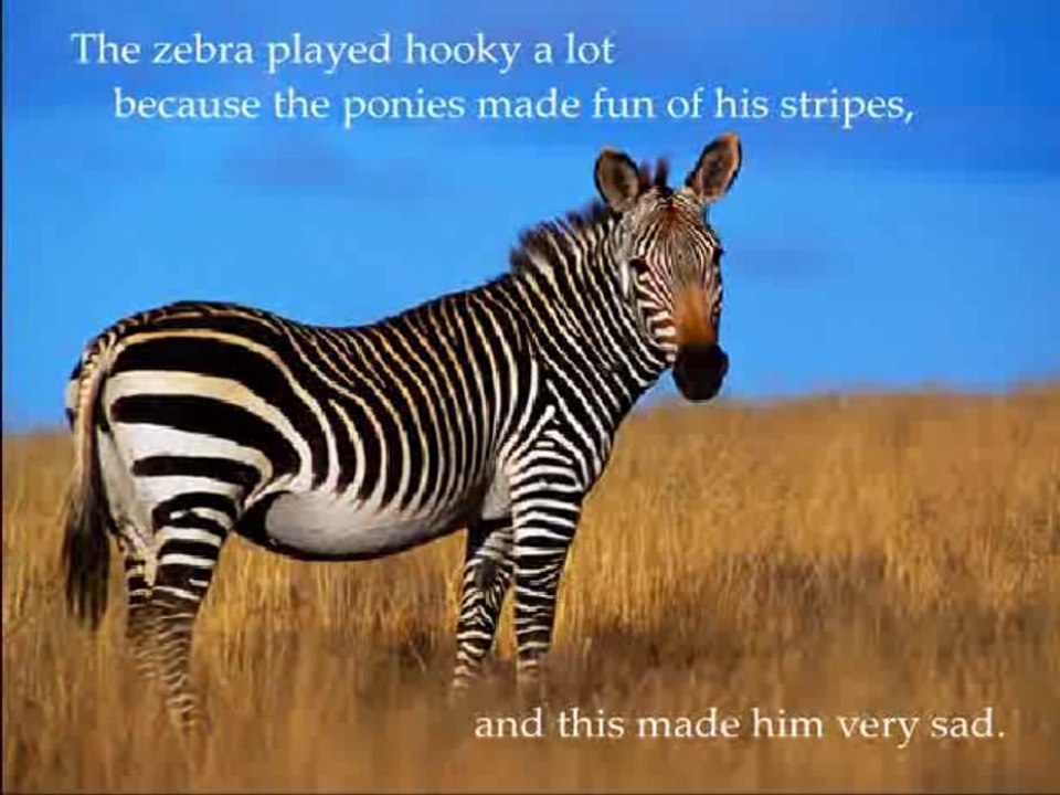 Animal School
