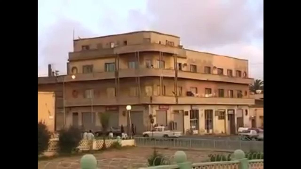 Eritrean instrumental Dawit kidane