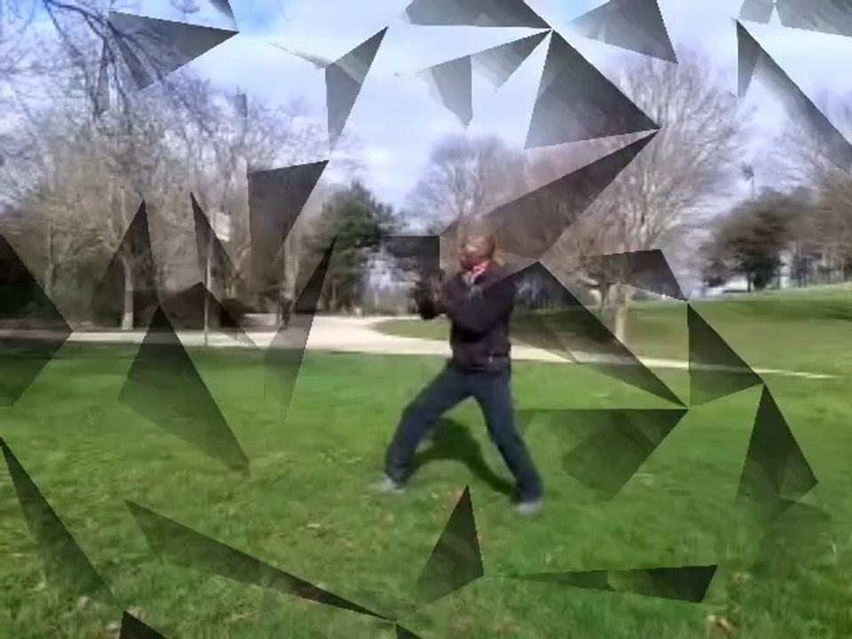 Tai  chi shuai-jiao sho-bo rentré à Nanterre