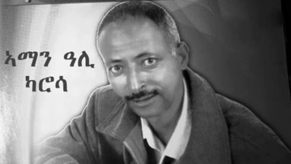 Discover the Vibrant Eritrean Music of Aman Ali (Karosa) 🎶