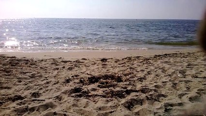 plage naturiste la turballe 1981