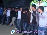 MARDİN OMUZ HALAYI BÖYLESİ GÖRÜLMEDİ HER BİJÎ NUSAYBİN