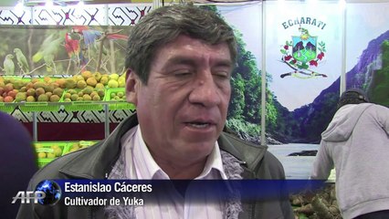 Perú celebra la mayor feria gastronómica de América Latina