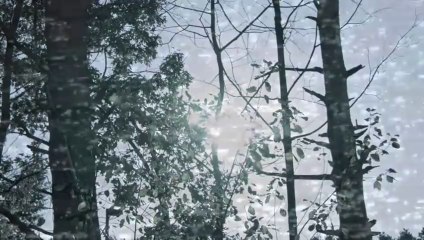 Say Something (I'm Giving Up On You)